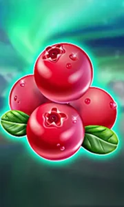 Winterberries