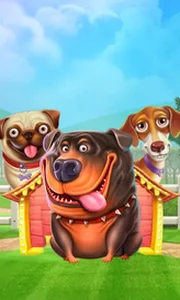 The Dog House