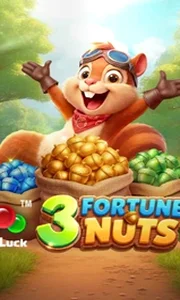 3 Fortune Nuts
